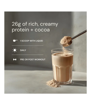 Buy Blueprint Longevity Protein Chocolate at LiveHelfi