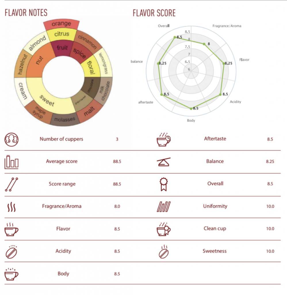 Buy NoordCode Pure Coffee Light Roast Whole Beans 250g at LiveHelfi